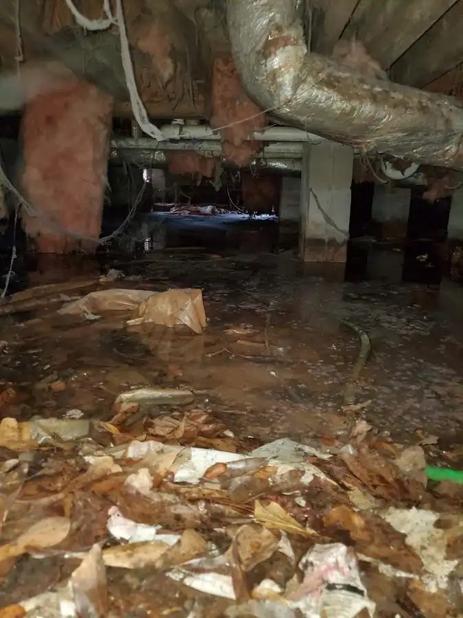 Crawl space flood assessment for Commercial Water Damage Restoration in Holladay